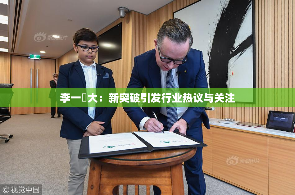 李一挏大：新突破引发行业热议与关注
