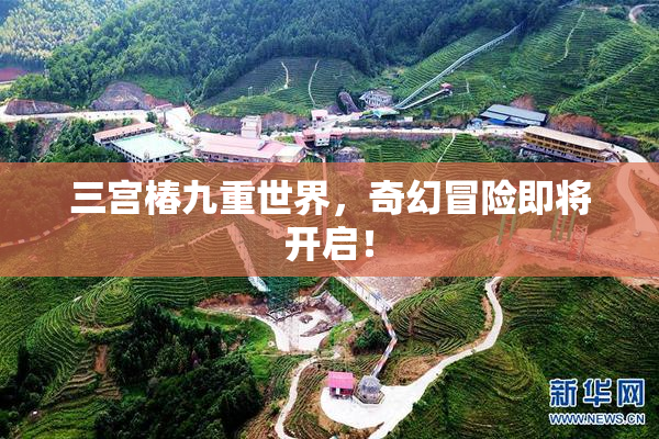 三宫椿九重世界，奇幻冒险即将开启！