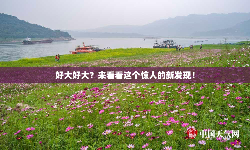 好大好大？来看看这个惊人的新发现！