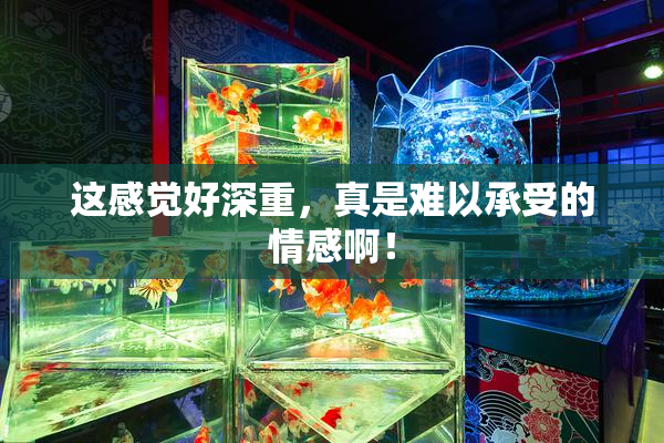 这感觉好深重，真是难以承受的情感啊！