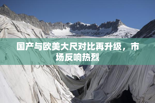 国产与欧美大尺对比再升级，市场反响热烈