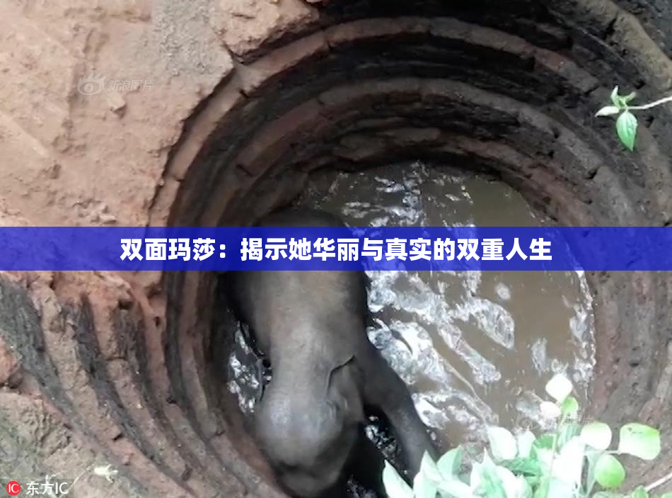 双面玛莎：揭示她华丽与真实的双重人生