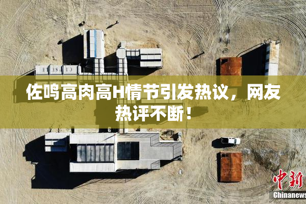佐鸣高肉高H情节引发热议，网友热评不断！