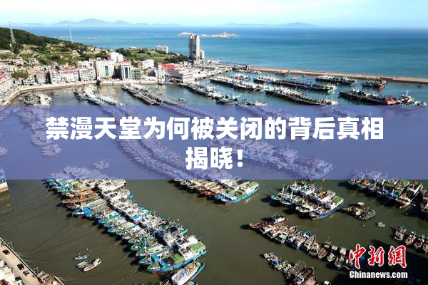 禁漫天堂为何被关闭的背后真相揭晓！