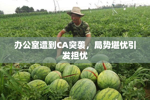 办公室遭到CA突袭，局势堪忧引发担忧