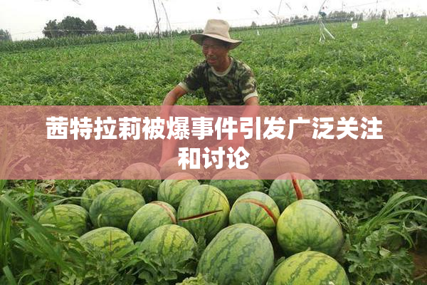 茜特拉莉被爆事件引发广泛关注和讨论