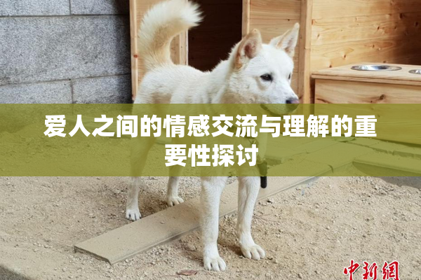 爱人之间的情感交流与理解的重要性探讨
