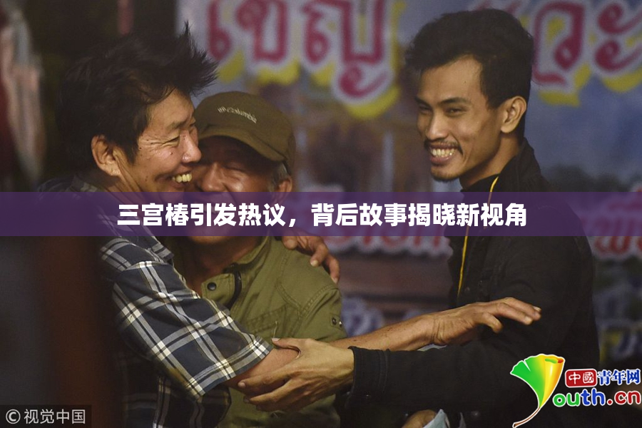 三宫椿引发热议，背后故事揭晓新视角