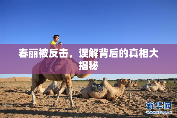 春丽被反击，误解背后的真相大揭秘