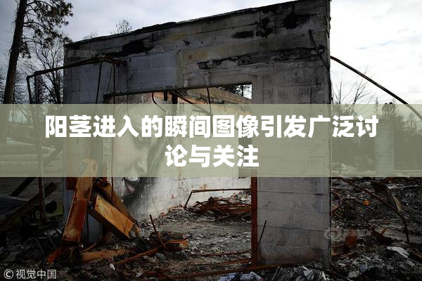 阳茎进入的瞬间图像引发广泛讨论与关注