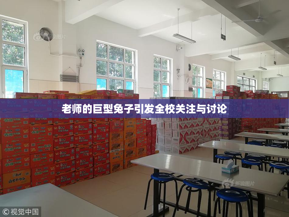 老师的巨型兔子引发全校关注与讨论