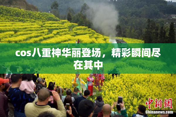cos八重神华丽登场，精彩瞬间尽在其中
