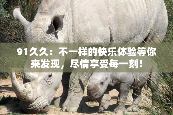 91久久：不一样的快乐体验等你来发现，尽情享受每一刻！