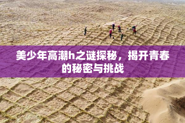 美少年高潮h之谜探秘，揭开青春的秘密与挑战