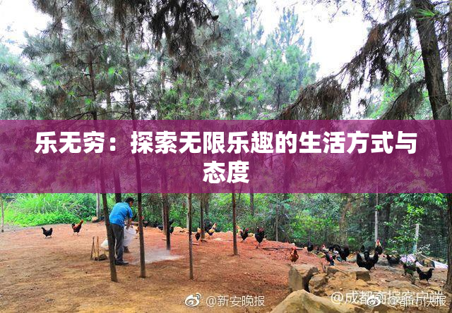 乐无穷：探索无限乐趣的生活方式与态度
