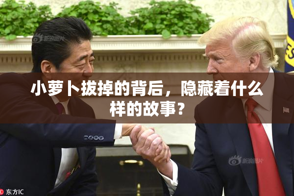 小萝卜拔掉的背后，隐藏着什么样的故事？