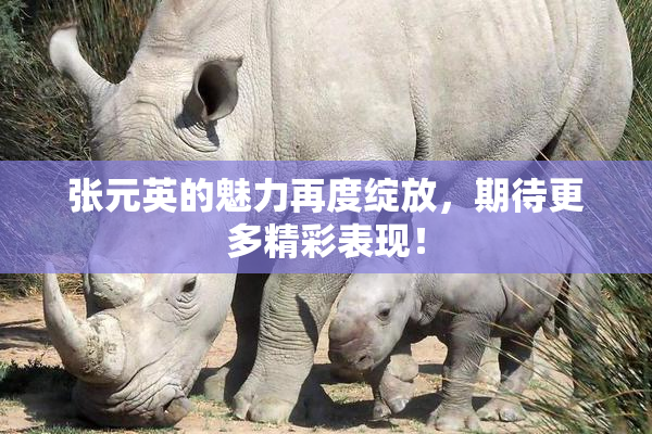 张元英的魅力再度绽放，期待更多精彩表现！