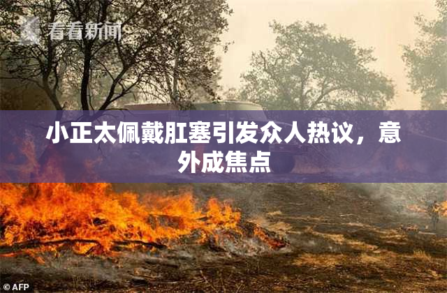小正太佩戴肛塞引发众人热议，意外成焦点