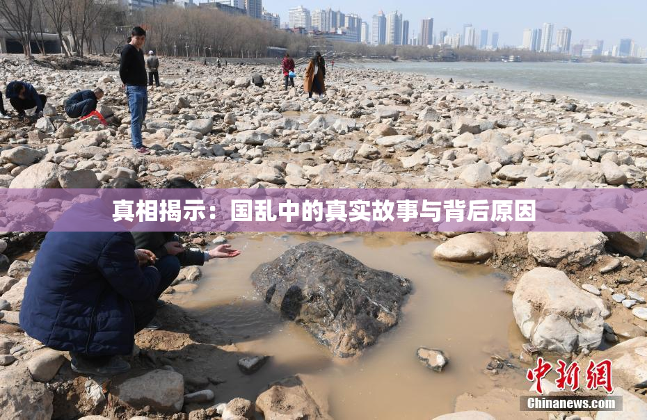 真相揭示：国乱中的真实故事与背后原因