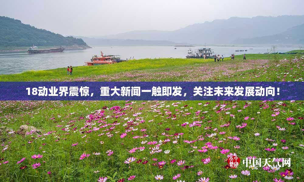 18动业界震惊，重大新闻一触即发，关注未来发展动向！