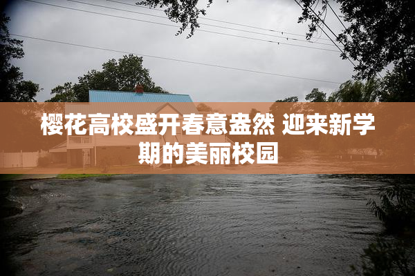 樱花高校盛开春意盎然 迎来新学期的美丽校园