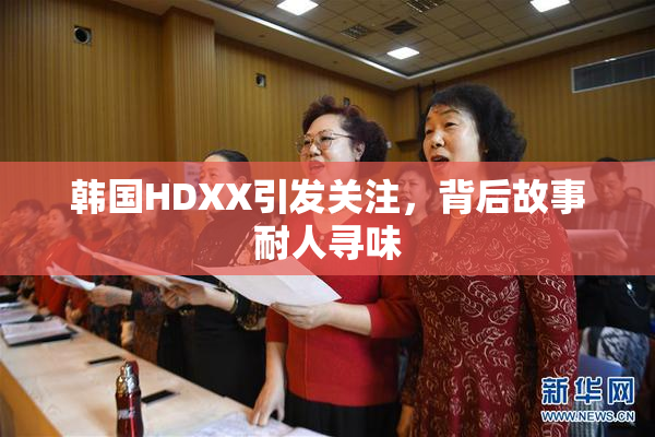 韩国HDXX引发关注，背后故事耐人寻味