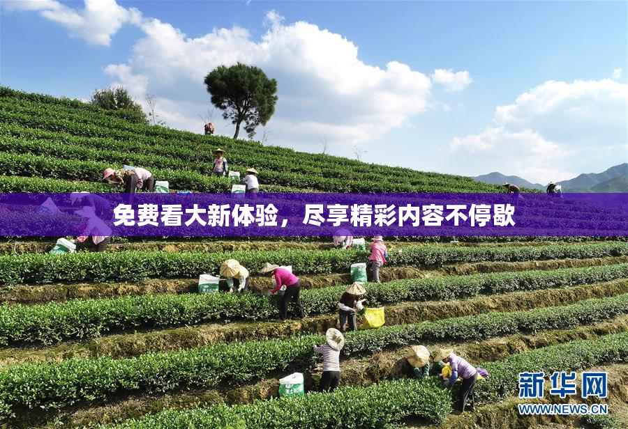 免费看大新体验，尽享精彩内容不停歇