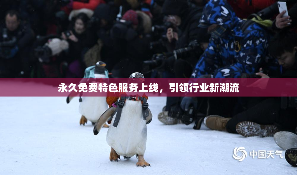 永久免费特色服务上线，引领行业新潮流