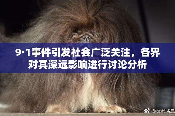 9·1事件引发社会广泛关注，各界对其深远影响进行讨论分析