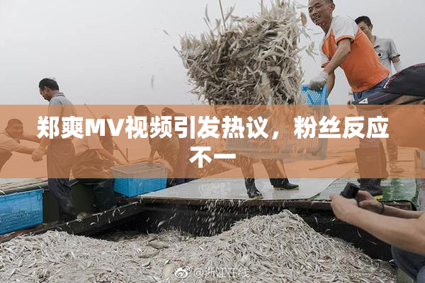 郑爽MV视频引发热议，粉丝反应不一