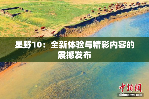 星野10：全新体验与精彩内容的震撼发布
