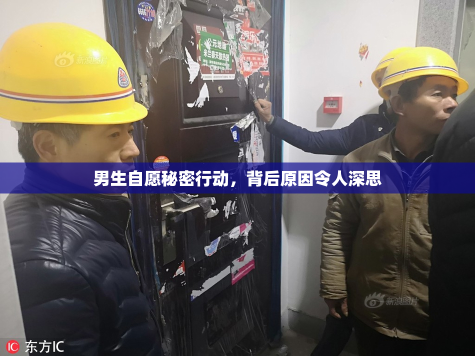 男生自愿秘密行动，背后原因令人深思