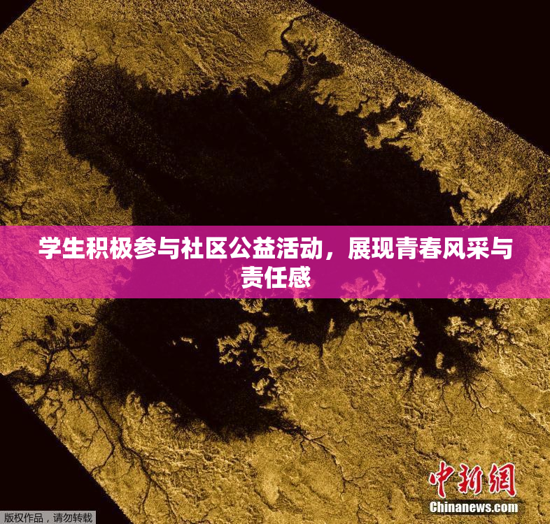 学生积极参与社区公益活动，展现青春风采与责任感
