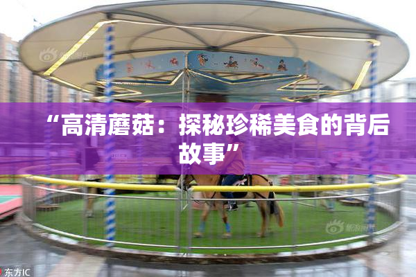 “高清蘑菇：探秘珍稀美食的背后故事”