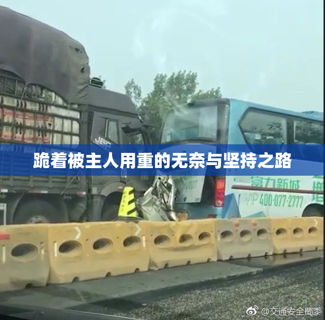跪着被主人用重的无奈与坚持之路
