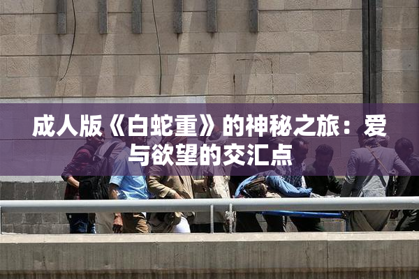 成人版《白蛇重》的神秘之旅：爱与欲望的交汇点