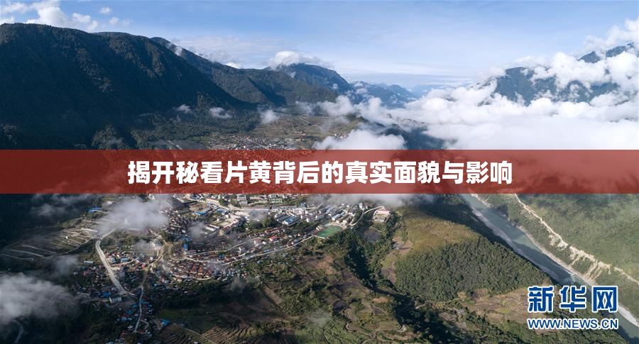 揭开秘看片黄背后的真实面貌与影响