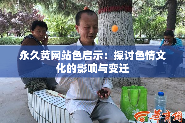 永久黄网站色启示：探讨色情文化的影响与变迁