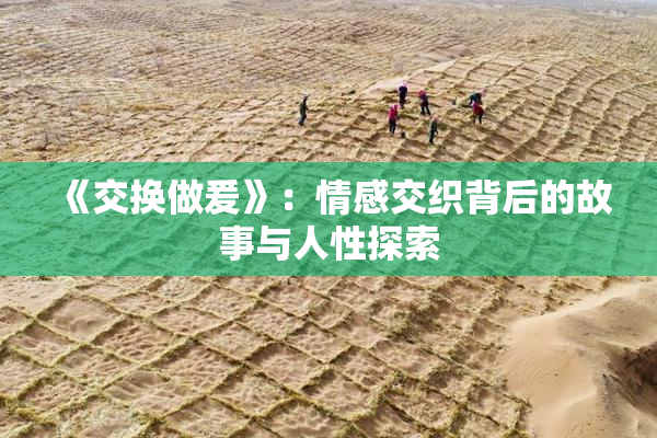 《交换做爰》：情感交织背后的故事与人性探索