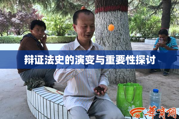 辩证法史的演变与重要性探讨