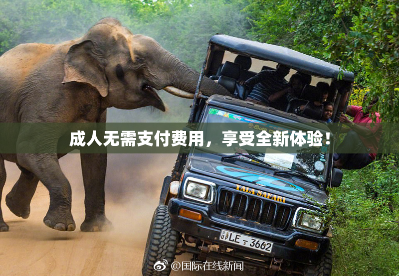 成人无需支付费用，享受全新体验！
