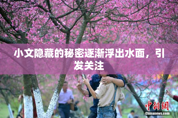 小文隐藏的秘密逐渐浮出水面，引发关注