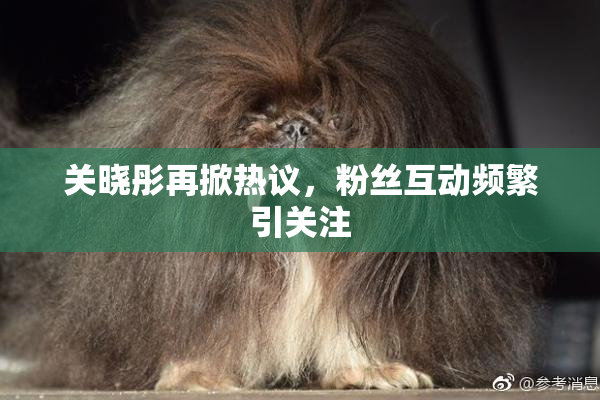 关晓彤再掀热议，粉丝互动频繁引关注
