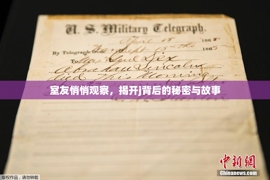 室友悄悄观察，揭开j背后的秘密与故事