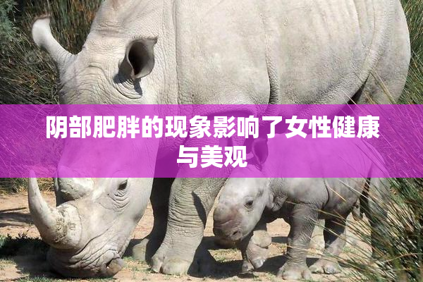 阴部肥胖的现象影响了女性健康与美观