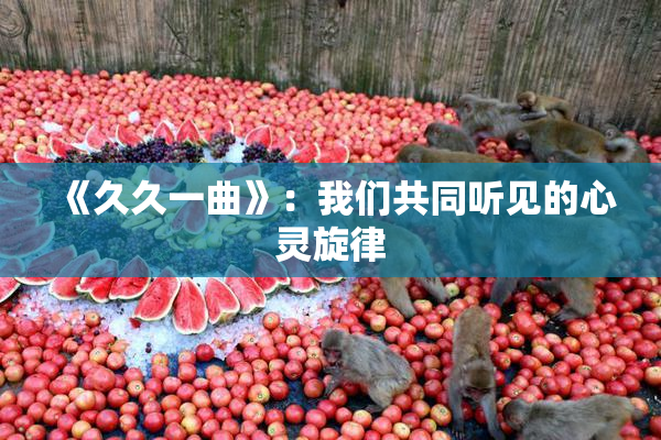 《久久一曲》：我们共同听见的心灵旋律