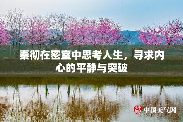 秦彻在密室中思考人生，寻求内心的平静与突破
