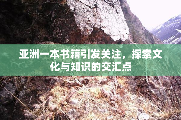 亚洲一本书籍引发关注，探索文化与知识的交汇点