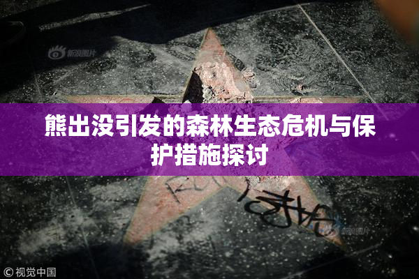 熊出没引发的森林生态危机与保护措施探讨