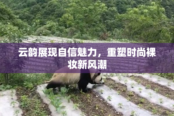 云韵展现自信魅力，重塑时尚裸妆新风潮